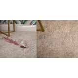 红酒污渍去除剂