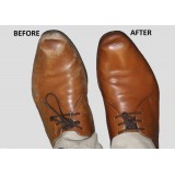 Shoe Shine & Colour Restorer