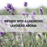 乙烯基塑胶地板清洁剂 乙烯基塑胶地板清洁剂