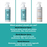 Mould Blocker Spray