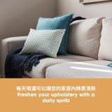 污漬及異味消除劑 污漬及異味消除劑