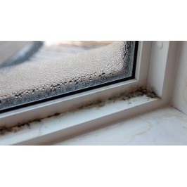 How To Safely Remove Mould from Your Home And Prevent It From Coming Back